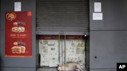 A stray dog sleeps at the entrance of a partially closed McDonald's outlet in New Delhi, India, Aug. 22, 2017. 