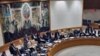 شام کے امن منصوبے کی سلامتی کونسل میں توثیق