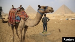 A camel and his handler wait for tourists at the Giza Pyramids near Cairo, Nov. 8, 2015. Egypt's Tourism Minister Hesham Zaazou said the government was doing all it could to secure airports and tourist sites.