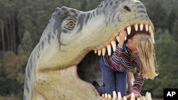 Ten-year old Adele Anhalt inspects the mouth of a model of a dinosaur in the exhibition 'World of Dinosaurs' in Hohenfelden near Erfurt, central Germany, September 25, 2012.