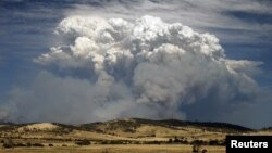 Smoke from wildfires is seen east of Hobart in the Australian island state of Tasmania January 4, 2013.