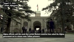 France, Australia Ask Afghanistan Not to Release Some Taliban Prisoners 