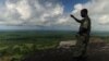 Une forêt au Mozambique