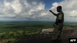 Une forêt au Mozambique, le 6 juin 2018.