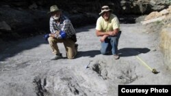 Researchers Martin Lockley, right, and Ken Cart pose beside large a dinosaur scrape they discovered in western Colorado. (Credit: University of Colorado-Denver)