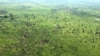 Philanthropies Pledge $450 Million to Save Forests, Climate