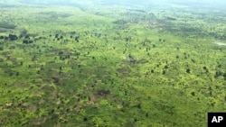 FILE - Scattered trees dot the once densely forested land, seen from an airplane, in South Sudan, July 13, 2017.