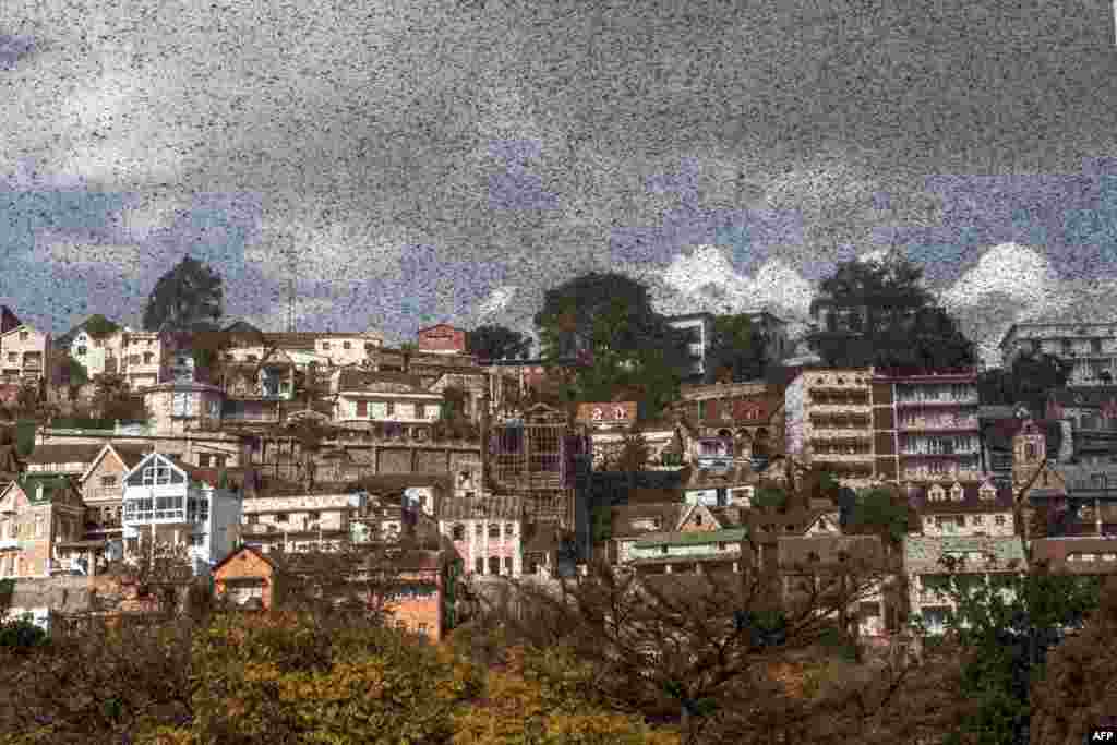 A swarm of locusts invades the center of Madagascar capital Antananarivo.