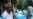 Zimbabwe’s Sports Betters Feeling Coronavirus Pinch