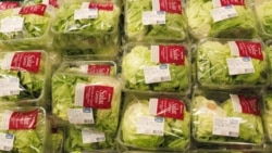 Lettuce at a supermarket in Switzerland. Why buy when you could grow it yourself?