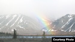 Oil development could threaten Timber Lake in the Arctic National Wildlife Refuge, one of the world’s remaining wild places. (Bernie Krause)