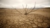 Dried-out branches are seen amongst caked mud at Theewaterskloof dam near Cape Town, South Africa, Jan. 20, 2018. 