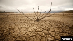 Dried-out branches are seen amongst caked mud at Theewaterskloof dam near Cape Town, South Africa, Jan. 20, 2018. 