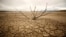 Dried-out branches are seen amongst caked mud at Theewaterskloof dam near Cape Town, South Africa, Jan. 20, 2018. 