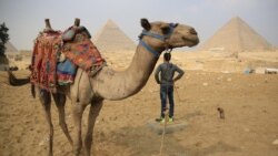 L'Egypte s'apprête à rouvrir aux visiteurs ses sites touristiques