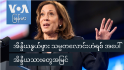 အိန္ဒိယနွယ်ဖွား သမ္မတလောင်းဟဲရစ် အပေါ် အိန္ဒိယသားတွေအမြင်