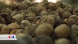 گوێزی هەورامان