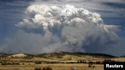 Asap tampak mengepul di atas kawasan hutan yang terbakar di Tasmania, Australia (4/1). 