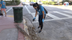 María José Algarra sale cada día a recoger los desechos plásticos que los residentes dejan en las calles de Miami Beach, la ciudad donde reside.