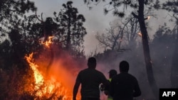 FILE - Firefighters attempt to extinguish a raging forest fire near the town of Melloula in northwestern Tunisia close to the border with Algeria on July 24, 2023.