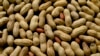 Preventive Treatment for Peanut Allergies Succeeds in Study