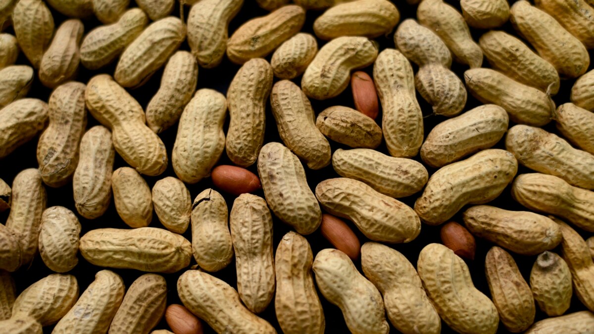 Doctors Give Babies Crushed Peanuts to Reduce Allergy Risk