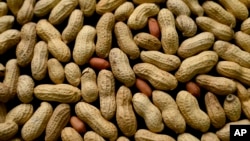 FILE - Peanuts are on display in New York, 