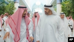 沙特阿拉伯国王萨勒曼（左）与阿联酋阿布扎比王储阿勒纳哈扬交谈。（资料照片）