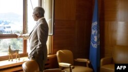 Kofi Annan, envoyé de l'ONU et de la Ligue arabe, regarde par une fenêtre avant une réunion à son bureau des bureaux des Nations Unies à Genève, 20 juillet 2012.
