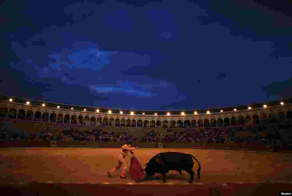 Spanish matador Eduardo Gallo drives a sword into a bull to kill it during a bullfight at the Maestranza bullring in the Andalusian capital of Seville, southern Spain, Apr. 11, 2013.