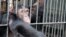 A chimp reaches for food at Ngamba Island Chimpanzee Sanctuary, Uganda, November 8, 2012. (H. Heuler/VOA)