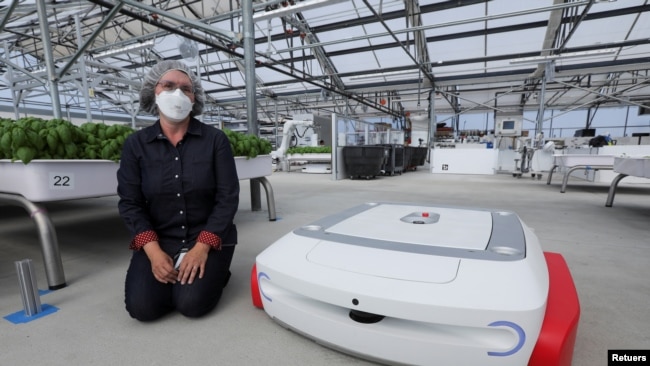 Sarah Osentoski, senior vice president of engineering at Iron Ox, kneels next to the self-driving robot Grover at the Silicon Valley company's greenhouse in Gilroy, California, U.S. on September 15, 2021. REUTERS/Nathan Frandino