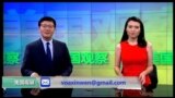VOA卫视(2016年11月5日 美国观察)