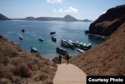 Sejumlah wisatawan turun dari perahu untuk melihat langsung Komodo. (Foto: Humas Kemenpar)