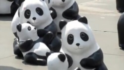 ထူးခြားဆန်းပြားသတင်းများ