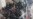 Washington Protests Turn Violent as Trump Assumes Presidency