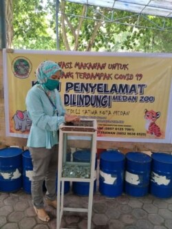 A woman donates to the Medan Zoo in North Sumatra, Indonesia, after the zoo launched a fundraiser to help feed the animals. Revenue from admission fees fell as people avoided crowded public places during the COVID-19 pandemic. (Medan Zoo)