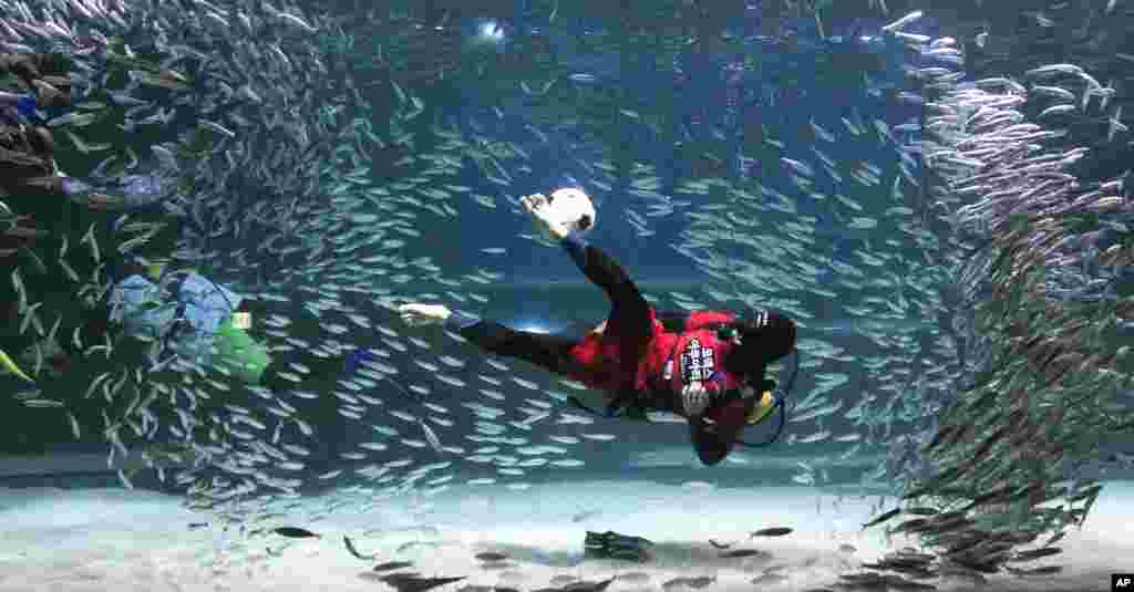 A diver wearing a South Korean soccer team uniform performs with sardines during an event to promote the upcoming 2014 Brazil World Cup, at the COEX Aquarium in Seoul, South Korea.