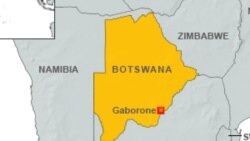 Udaba Esilethulwe Ngu Martin Ngwenya