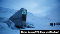 FILE - The entrance to the international gene bank Svalbard Global Seed Vault (SGSV) is pictured outside Longyearbyen on Spitsbergen, Norway, Feb, 29, 2016. 