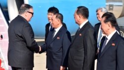 Ameriki Jamanadenw Saba Biala Koree Kegnenka Jmana fe