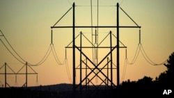 FILE - Power transmission lines stretch above the treetops in Maine, on Oct. 6, 2021. A former U.S. Marine was sentenced Oct. 28, 2024, for his role in a plot targeting U.S. power facilities.