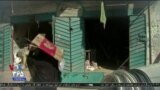 اخبار شامگاهی