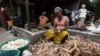 Plan de lutte contre la maladie du manioc
