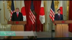 美国观察 2019年5月28日