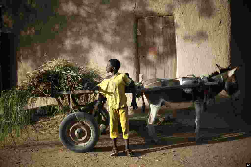 A child stands by his donkey cart, in Gao, northern Mali, February 5, 2013.