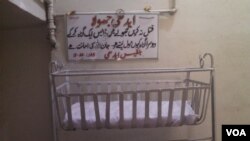 ("مه یې مړه کوئ زانگو ته یې راورسوئ - بلقيس ايدهي" .