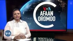 Tamsaasa Guyaadhaa Guyyaa