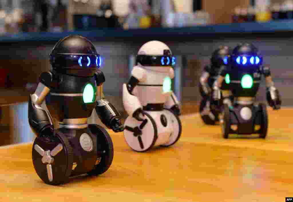 Two-wheel robots &quot;MiP&quot; demonstrate a dance as Japanese toy maker Tomy introduces the new toy robot in Tokyo. The 19cm-tall robots, developed by Canadian toy maker Wowwee, can be operated by smartphone to dance and run.