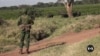 Kenyan conservancy uses reformed poachers to protect wildlife